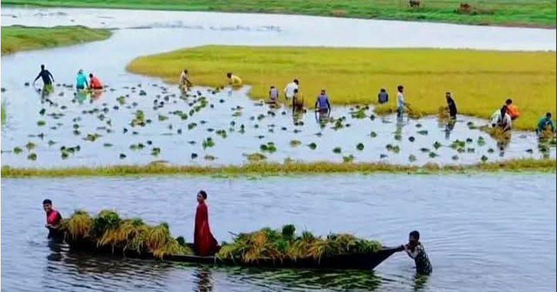 ছবি: প্রতিনিধি