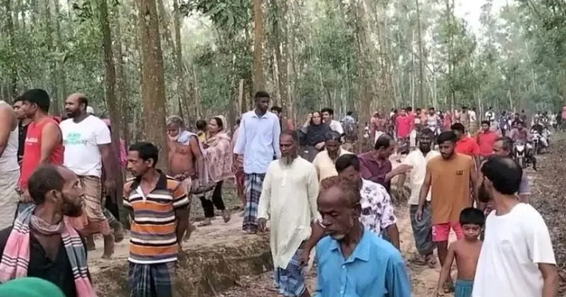সংগৃহীত ছবি
