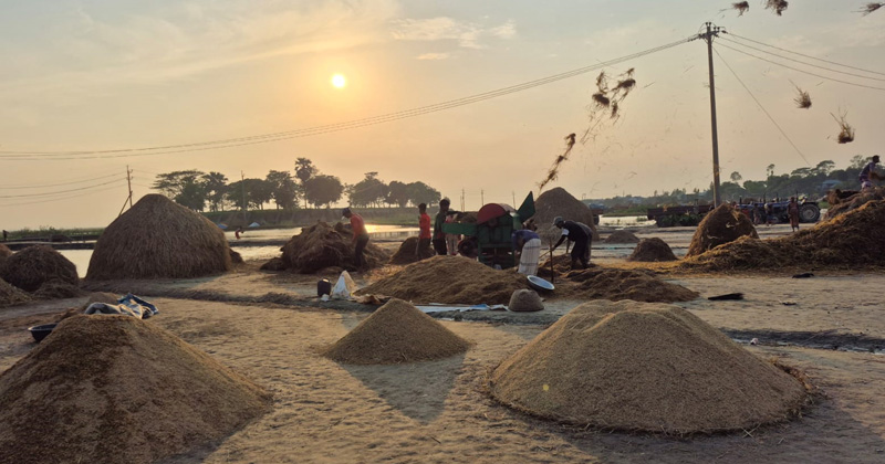 প্রতীকী ছবি