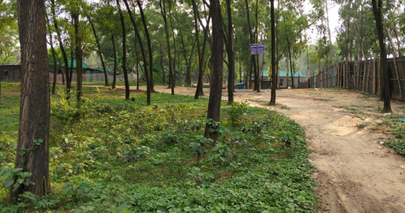 ছবি: প্রতিনিধি