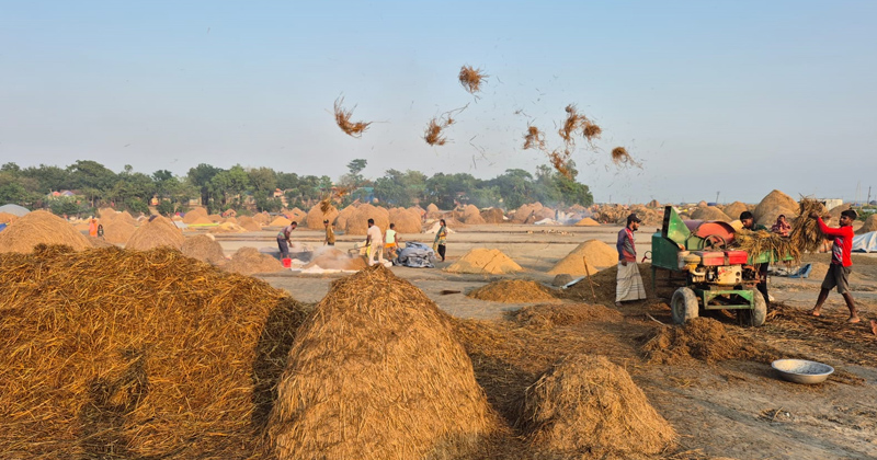 ছবি: প্রতিনিধি