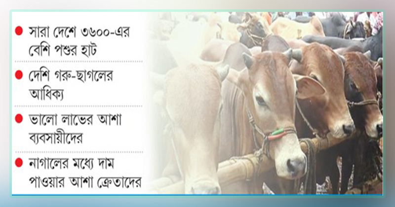 ছবি: খোলা কাগজ