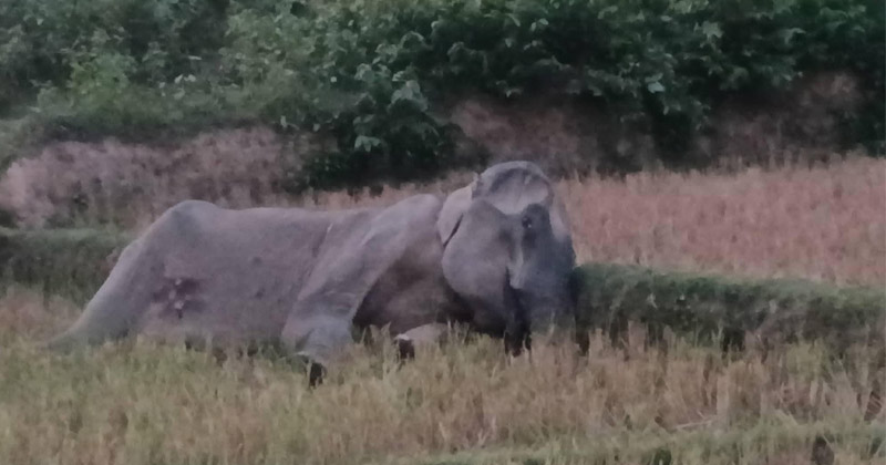 ছবি: প্রতিনিধি