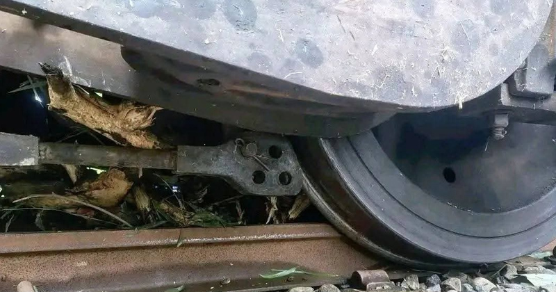 ছবি: প্রতিবেদক