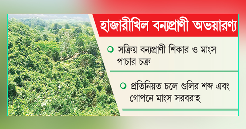ছবি: খোলা কাগজ