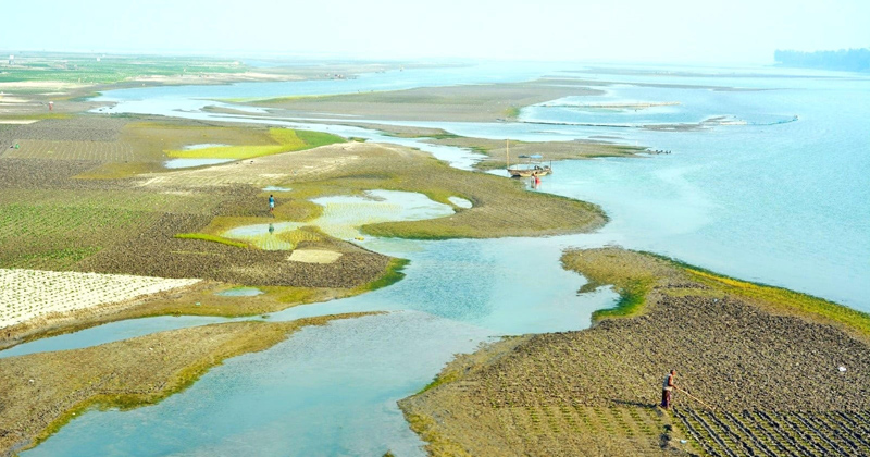 ছবি : খোলা কাগজ