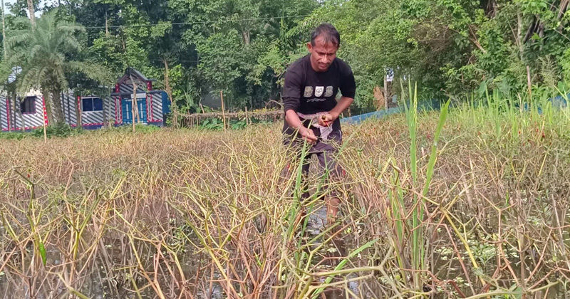 ছবি: প্রতিনিধি