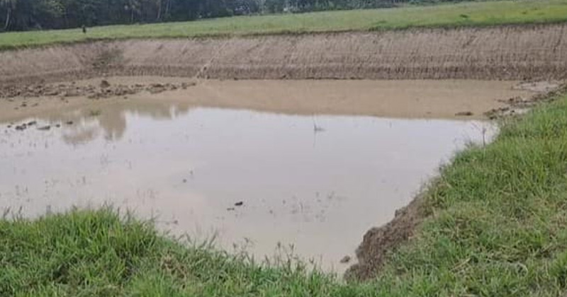 ছবি: প্রতিবেদক