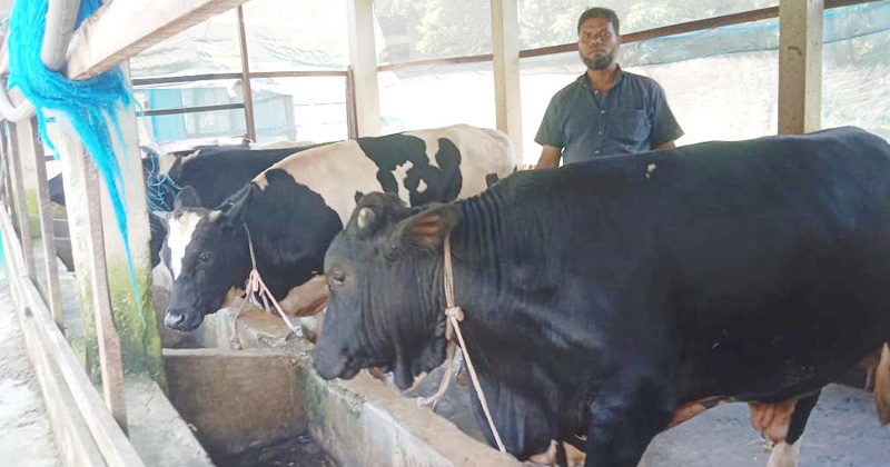 ছবি: প্রতিনিধি