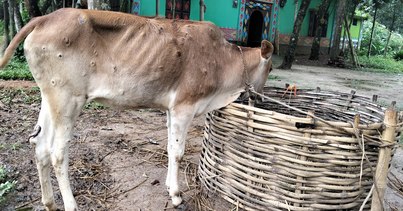 ছবি: প্রতিনিধি