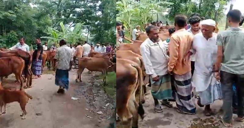 ছবি: প্রতিনিধি