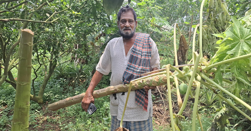 ছবি: প্রতিনিধি
