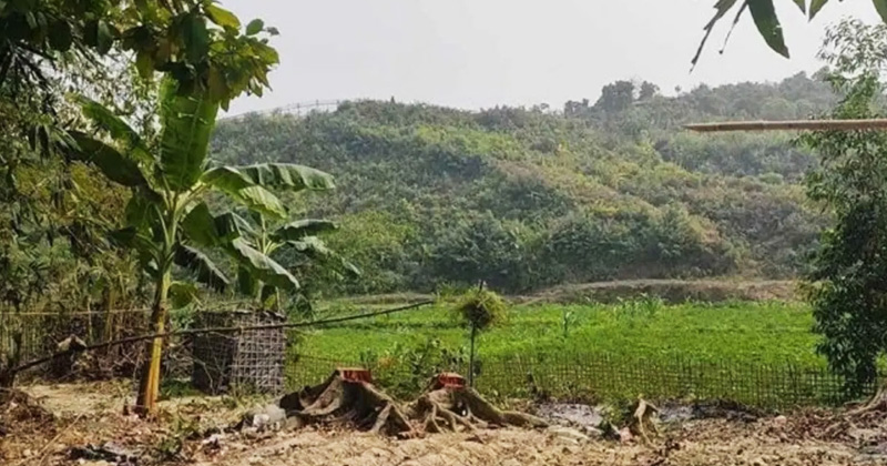 ফাইল ছবি