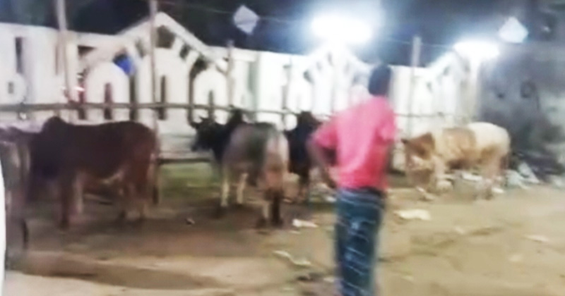 ছবি : খোলা কাগজ