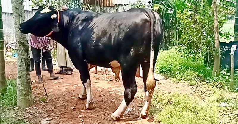 ছবি : খোলা কাগজ