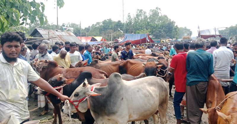 ছবি: প্রতিনিধি
