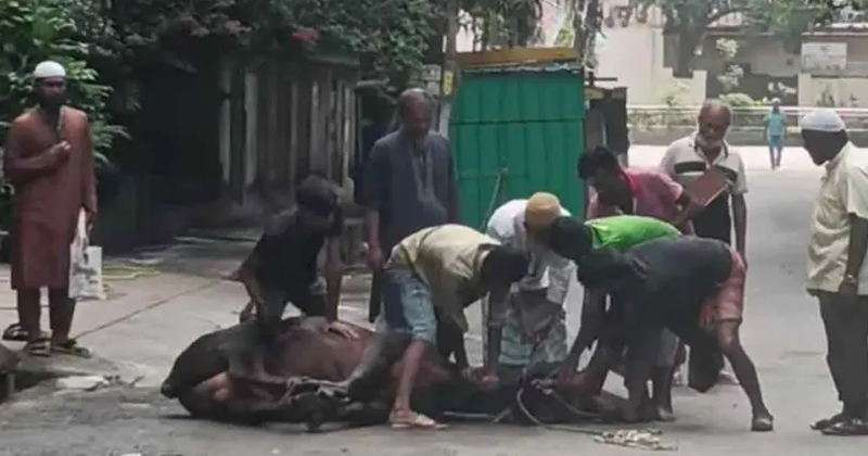 সংগৃহীত ছবি
