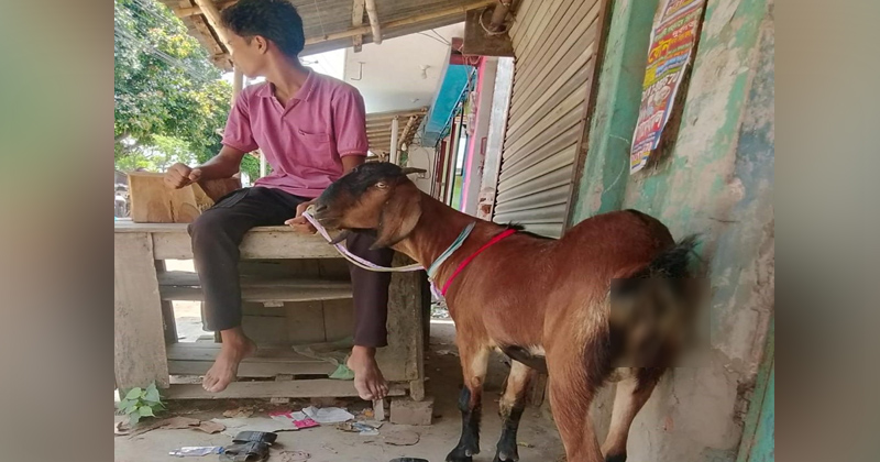 ছবি: প্রতিনিধি