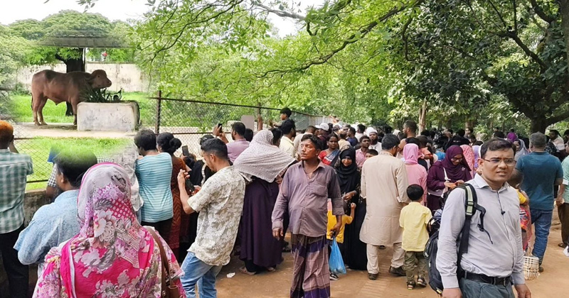 চিড়িয়াখানায় ডোনাল্ড ট্রাম্পকে দেখতে দর্শনার্থীদের ভিড়