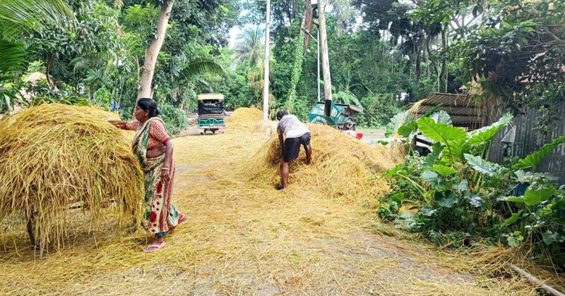 ছবি: প্রতিনিধি