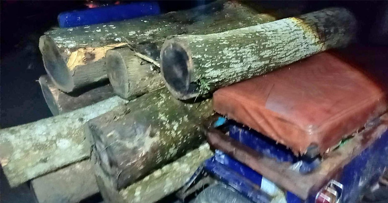 কমলগঞ্জে সংরক্ষিত বনাঞ্চলে অবাধে চলছে বৃক্ষ নিধন, বেড়েছে বাঁশ পাচার 