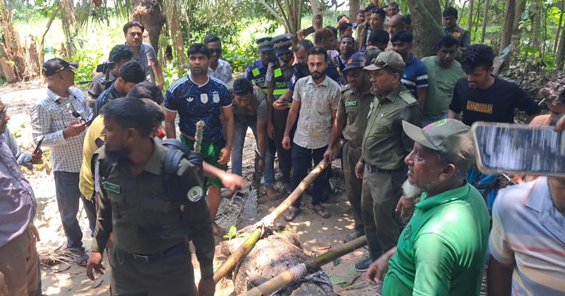 সরিয়ে নেওয়া হলো খানজাহান আলীর মাজারের দিঘির কুমির