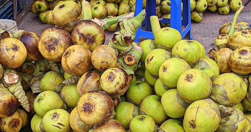 ছবি : খোলা কাগজ