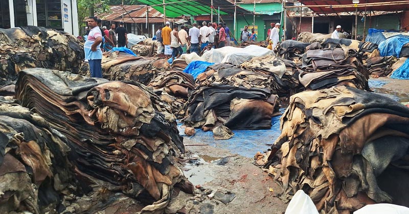 ছবি : খোলা কাগজ