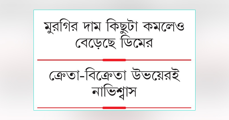 ছবি : খোলা কাগজ