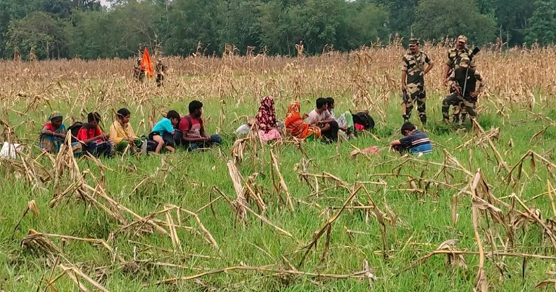 সংগৃহীত ছবি