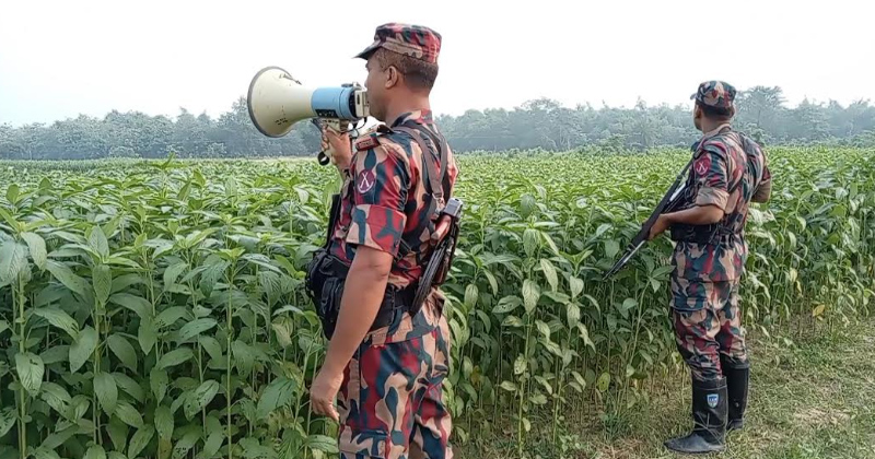 ছবি: প্রতিনিধি