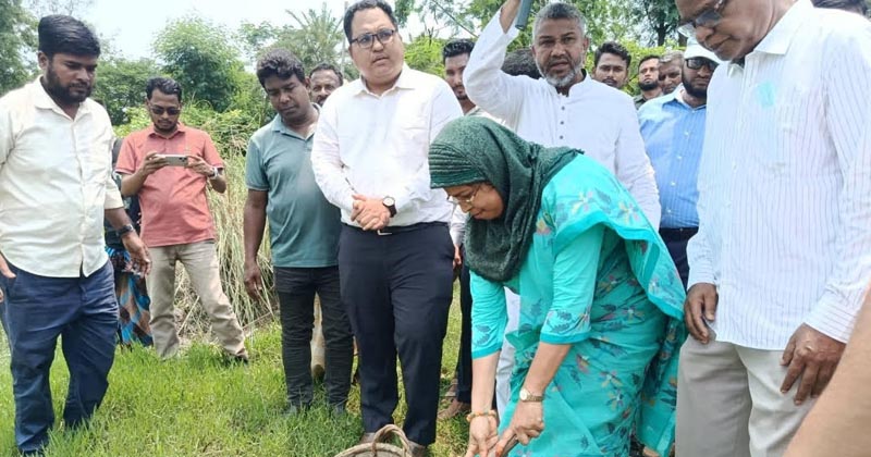ছবি: প্রতিনিধি