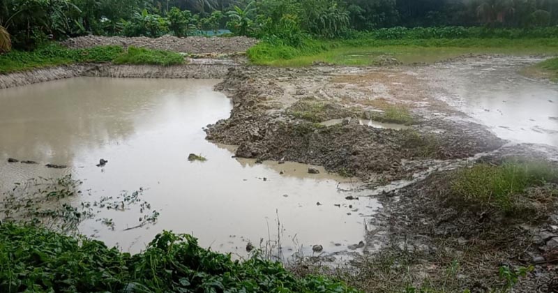 ছবি: প্রতিনিধি