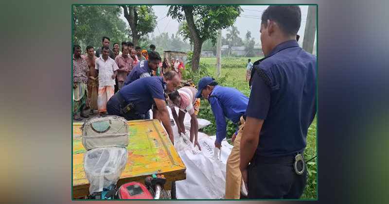 সখীপুরে দাঁড়িয়ে থাকা ট্রাকে পিকআপের ধাক্কা, নিহত ৪