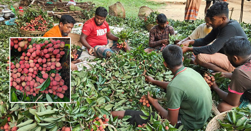ছবি : খোলা কাগজ