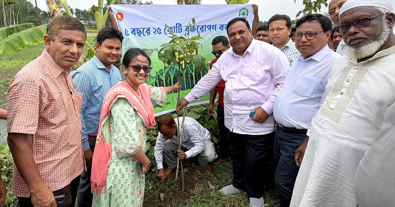 ছবি: প্রতিনিধি