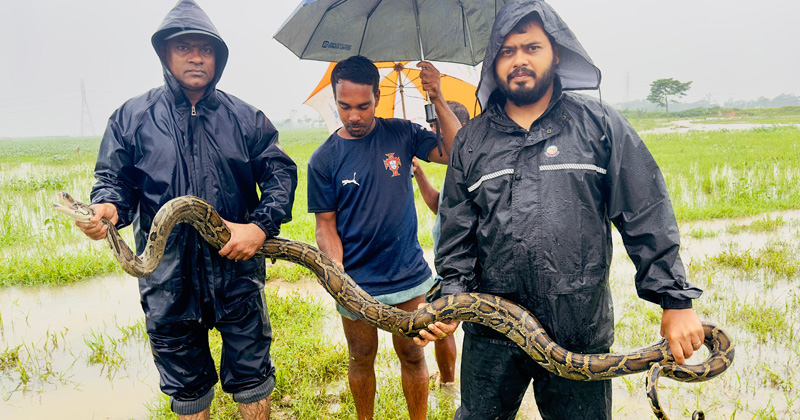 ছবি: প্রতিবেদক