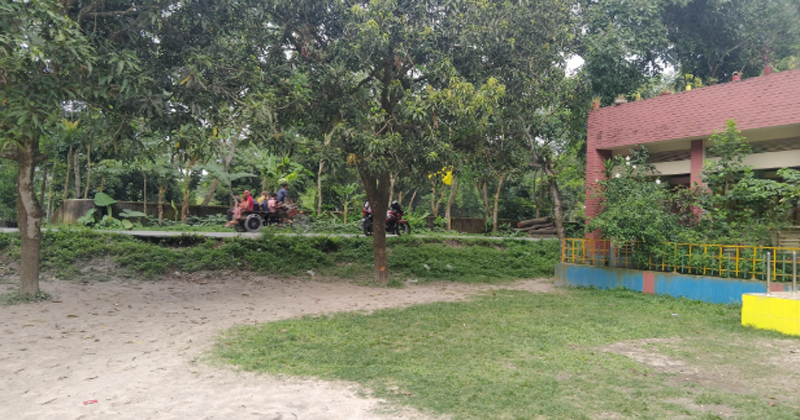 ছবি: প্রতিনিধি