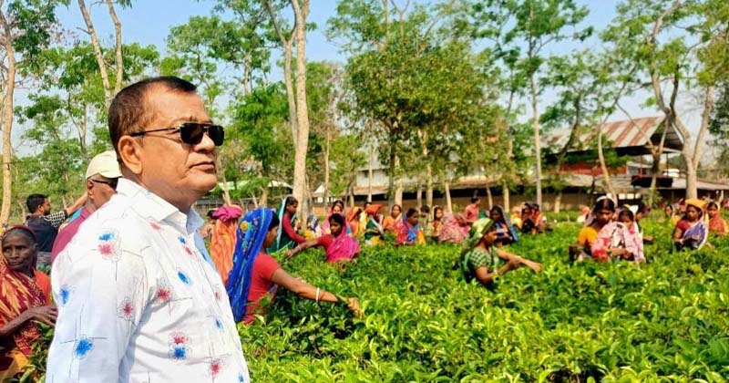 ছবি: প্রতিনিধি