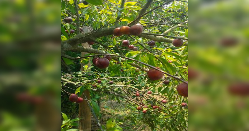 ছবি: প্রতিনিধি