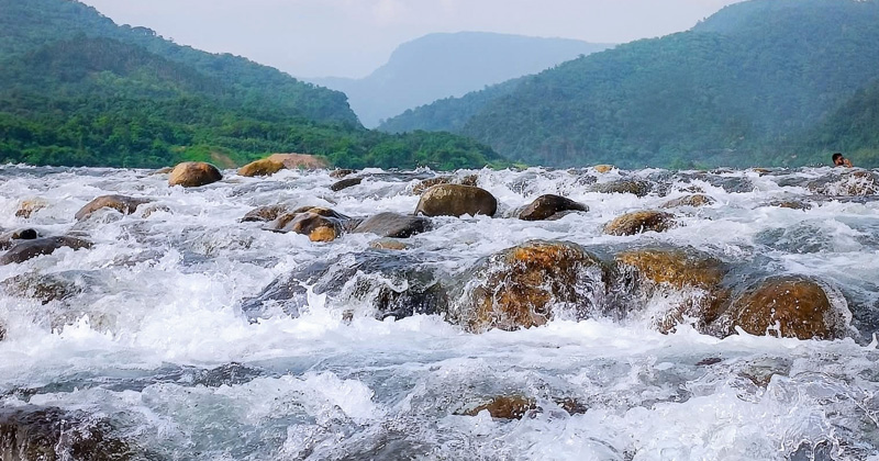 ছবি : খোলা কাগজ