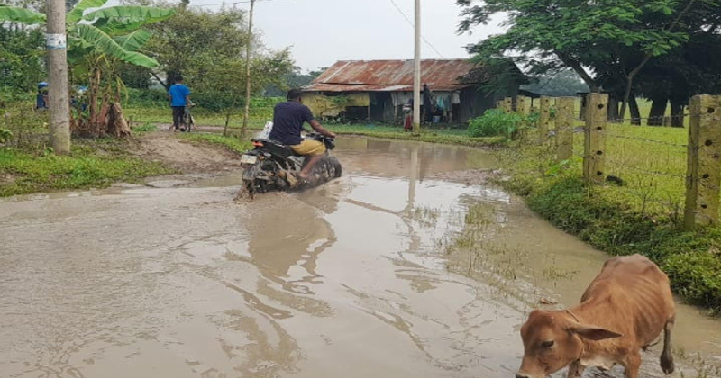 ছবি: প্রতিনিধি