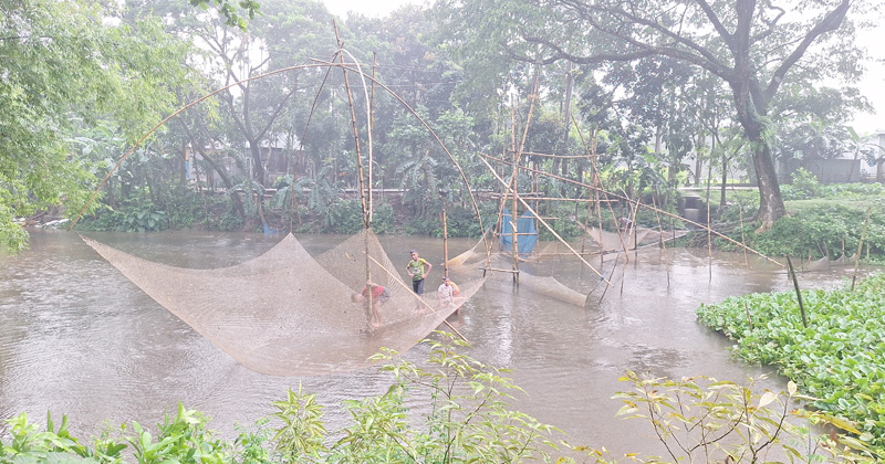 বর্ষার নতুন পানিতে প্রাণ ফিরেছে নরসুন্দায়, মাছ ধরায় মেতেছে শিশু-কিশোররা