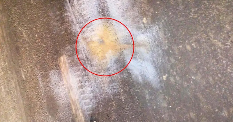 রাজধানীর টেকনিক্যাল মোড়ে ককটেল বিস্ফোরণ