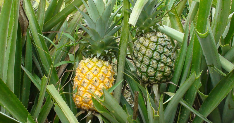 ছবি: প্রতিবেদক