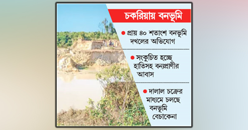ছবি : খোলা কাগজ