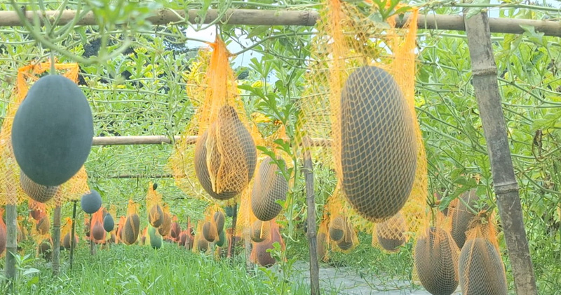 ছবি: প্রতিনিধি