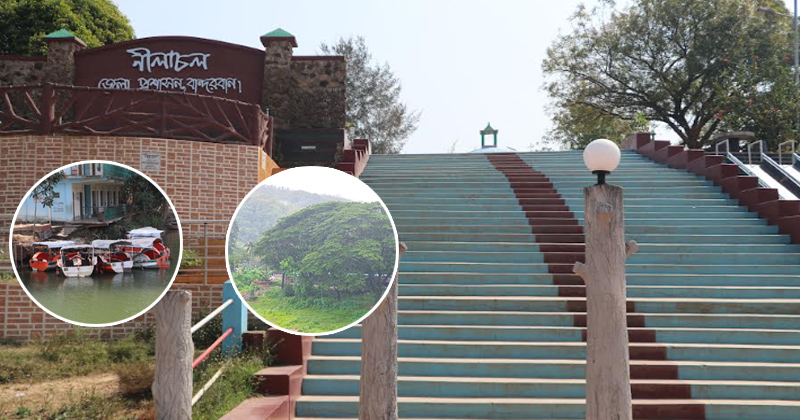 ছবি : খোলা কাগজ