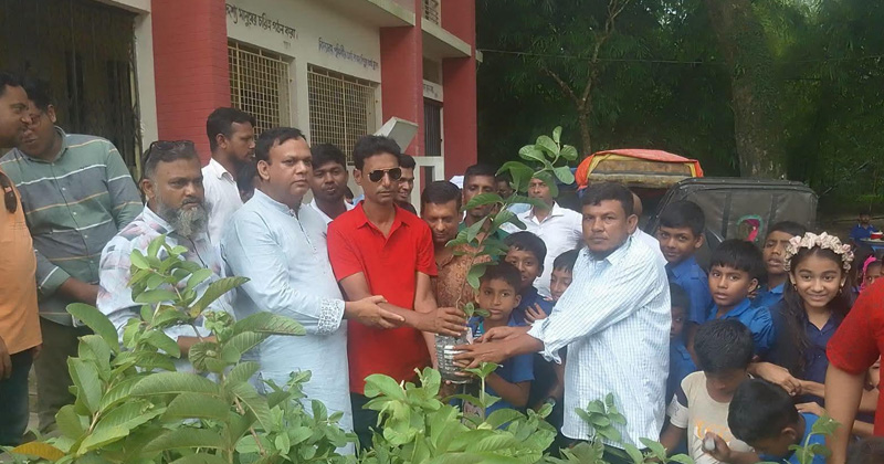 ছবি: প্রতিনিধি