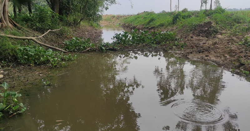 ছবি: প্রতিনিধি